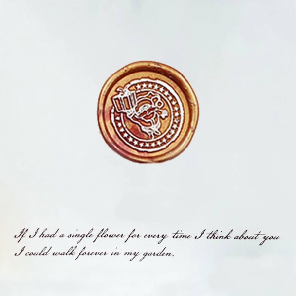 Christmas Special Offer - Santa Claus