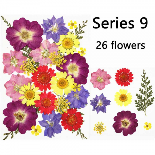 Dried Flower Pack - Suitable for gifts